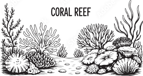 Monochrome Coral Reef Landscape