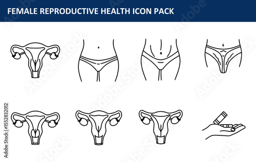 Female reproductive health icons in various poses, demonstrating different anatomical features with underwear.