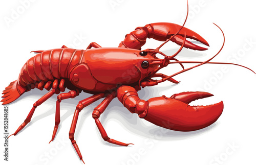 lobster isolated on white  100% fully editable vector file.