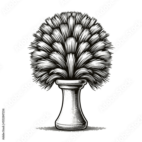 Feather duster illustration in vintage black and white style