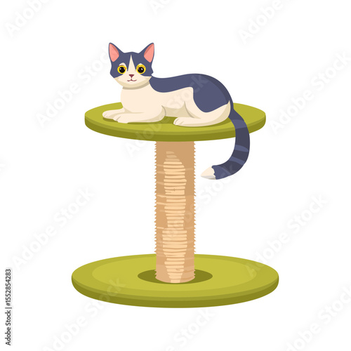 Cat Resting on a Cat Tree: A Cute Feline Friend Relaxing at Home