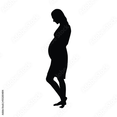 Silhouette of a Pregnant Woman