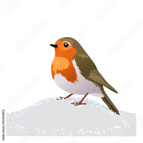 Illustration of a European robin (Erithacus rubecula) perched on snow