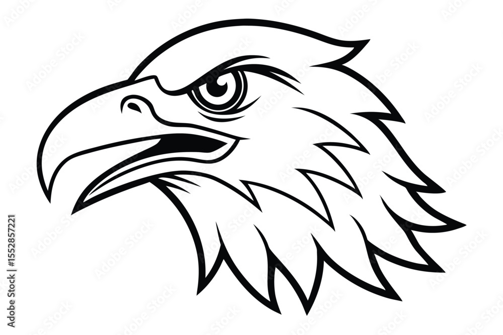 Obraz premium Fierce eagle head shows striking feathers and a powerful gaze in the clean outline