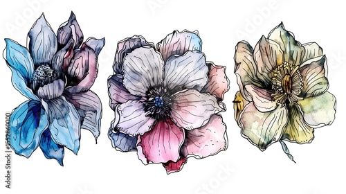Watercolor Hand Drawn Flowers – a delicate and artistic floral illustration. The hand-drawn watercolor flowers create a soft, charming, and creative botanical scene.