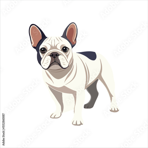 French Bulldog Vector Illustration