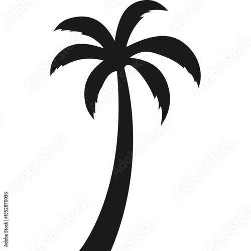 Palm Tree Silhouette