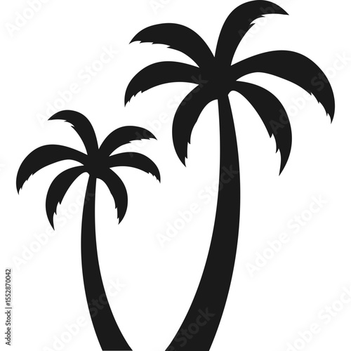 Palm Tree Silhouette