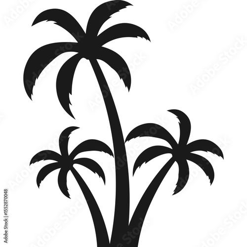 Palm Tree Silhouette
