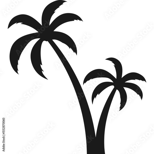 Palm Tree Silhouette