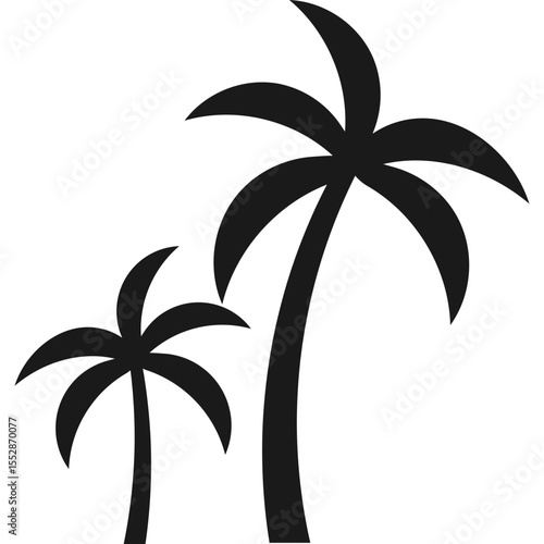 Palm Tree Silhouette
