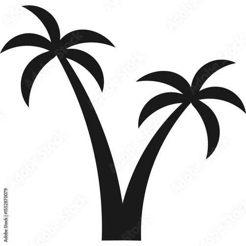Palm Tree Silhouette