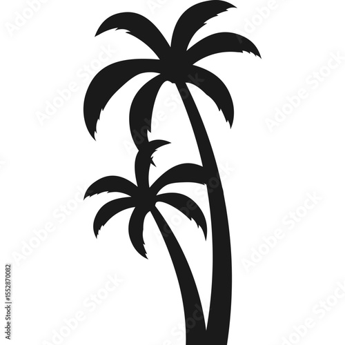 Palm Tree Silhouette