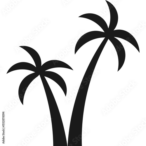 Palm Tree Silhouette