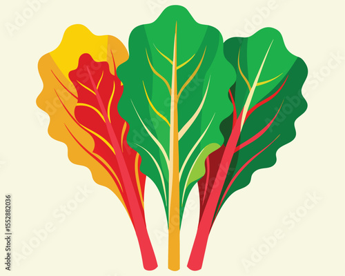 Fresh vibrant swiss chard leaves with colorful leaves vector art design 