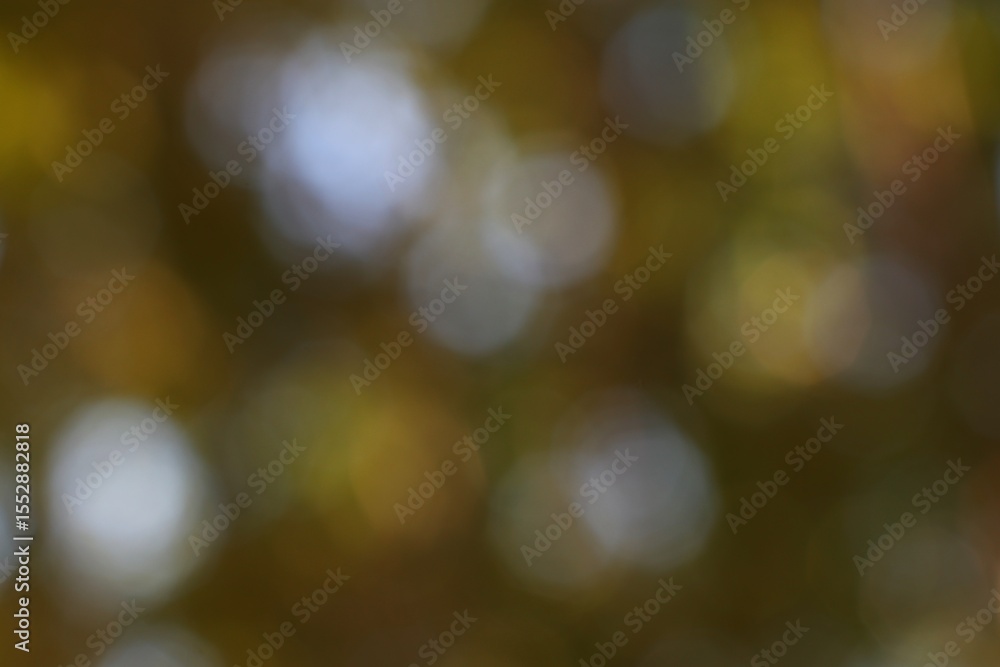Obraz premium Abstract autumnal bokeh, capturing a dreamlike essence of fall colors
