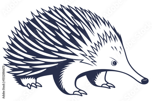 Spiky echidna with a long snout is walking across the white surface