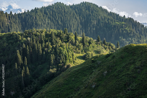 mountain landscape in the mountains