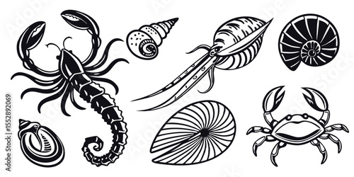 Vector illustration of sea creatures shellfish mollusks and crustaceans marine life set