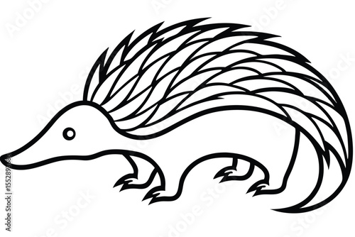 Stylized echidna side view depicts spiky quills with minimalist black line art