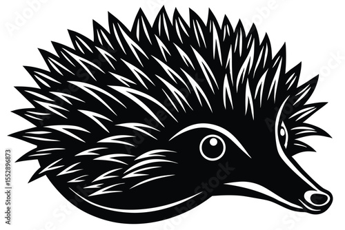 shows a solitary echidna with golden spines isolated against a white backdrop