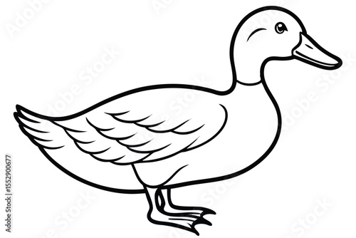 Cartoon duck illustration showcases detailed black outlines and a simple yet appealing aesthetic on white