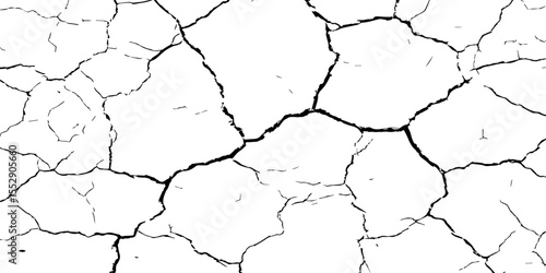 A close-up, high-contrast, black and white image of a cracked surface. The intricate network of cracks, ranging from thick, deep fissures to fine, branching lines, creates a stark and textured pattern