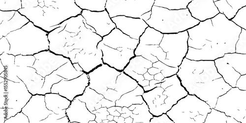 A close-up, high-contrast, black and white image of a cracked surface. The intricate network of cracks, ranging from thick, deep fissures to fine, branching lines, creates a stark and textured pattern