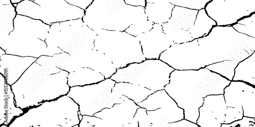 A close-up, high-contrast, black and white image of a cracked surface. The intricate network of cracks, ranging from thick, deep fissures to fine, branching lines, creates a stark and textured pattern