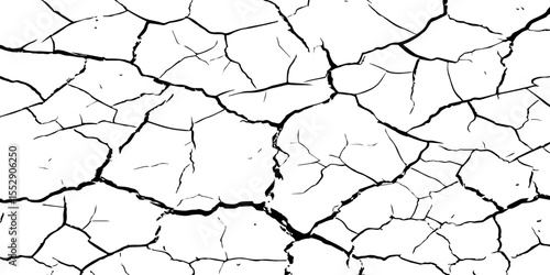 A close-up, high-contrast, black and white image of a cracked surface. The intricate network of cracks, ranging from thick, deep fissures to fine, branching lines, creates a stark and textured pattern