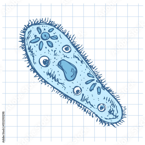 Εκτύπωση καμβά Hand drawn vintage sketch of single paramecium microorganism in blue color on gr