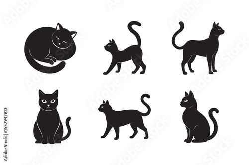 American Shorthair Cat Silhouette In Common Poses
