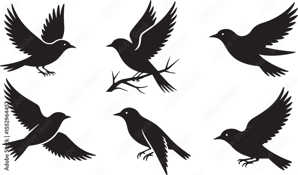 Naklejka premium Set of bird silhouettes including eagle and crow in black vector style on white background