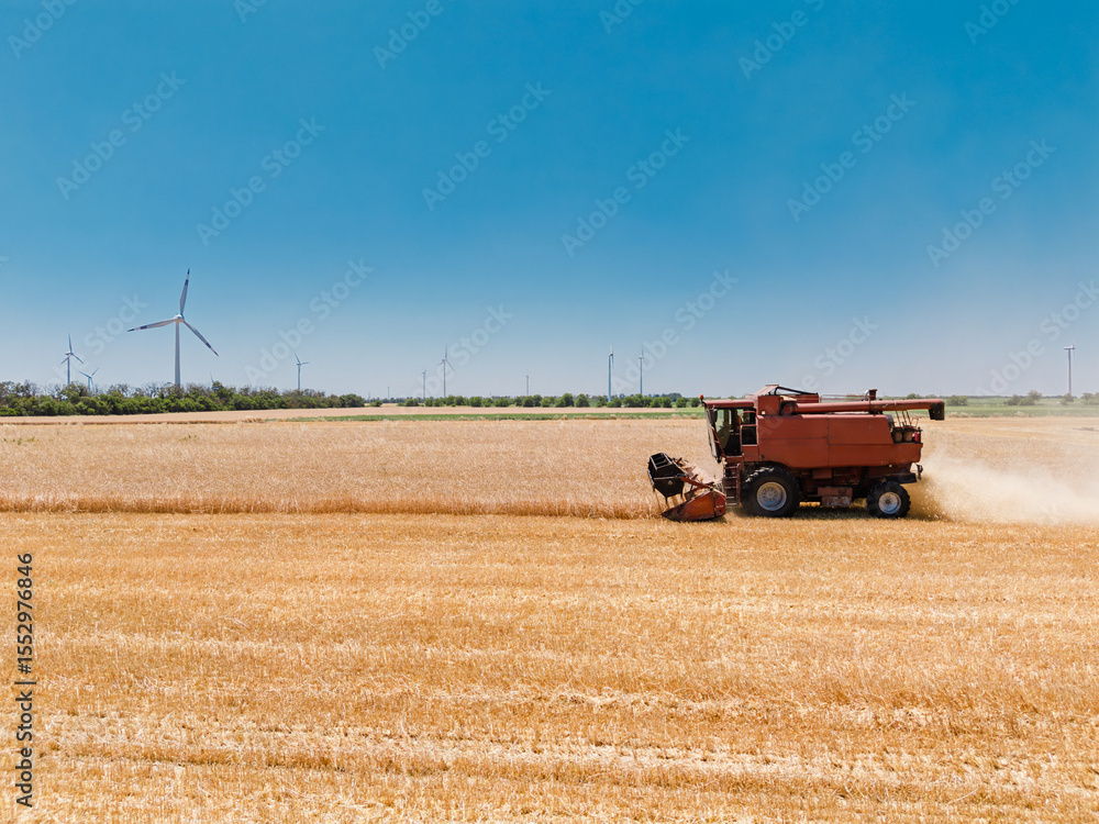 Obraz premium Agricultural combine harvester working during harvest time near wind generators