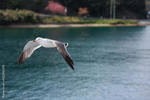 京都府与謝郡伊根町の風景