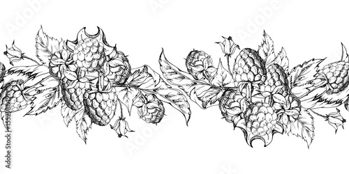 Raspberry berry buds leaves hanging bunch garland ripe garden dewberry cloudberry mulberry loganberry tayberry. Hand drawn in vector ink. Isolated seamless banner border. Menu, farmers market, florist