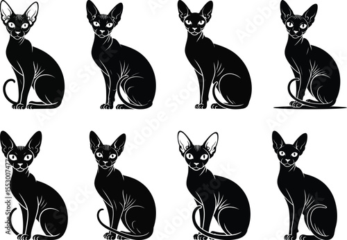 Sphynx cat silhouette vector set, collection of sitting sphynx cat icon in black isolated style for design and decoration
