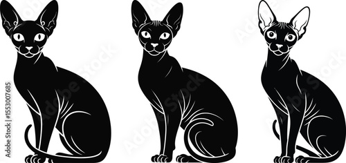 Sphynx cat silhouette vector set, collection of sphynx cat with large ear icon in black isolated style for design
