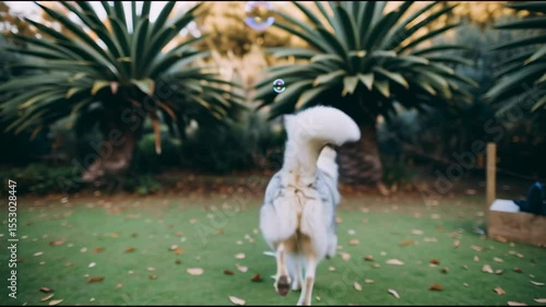 A dog chasing bubbles while people grill in the background.