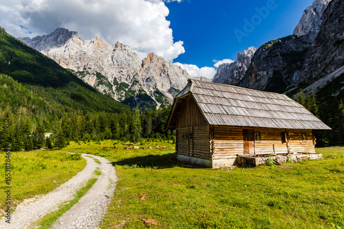 Foto alpine pasture below the mountains in the Julian Alps in Kranjska Gora region