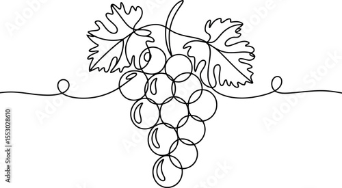 A cluster of grapes hangs from a vine, all rendered in a single, continuous line. The drawing includes delicate leaves and swirling tendrils, adding to its organic feel.