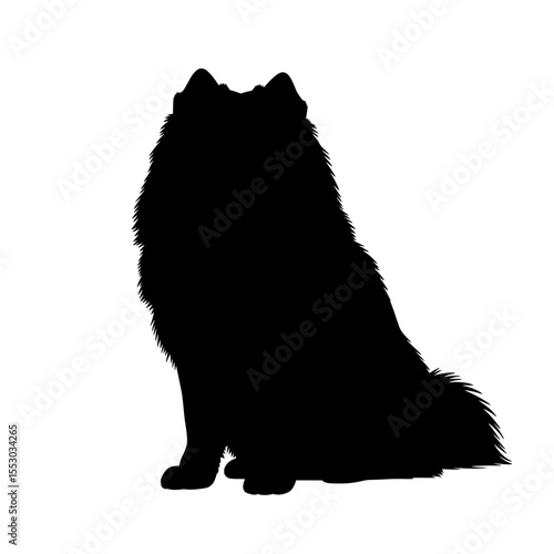 A fluffy samoyed dog sitting patiently in a silhouette against a transparent background showcasing its distinctive thick fur and alert ears isolated on transparent background