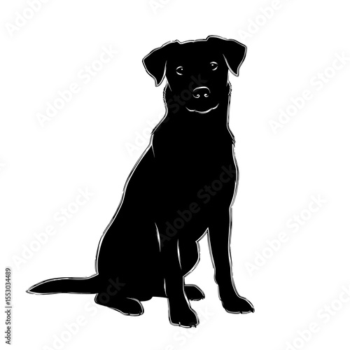 A friendly black labrador retriever dog sitting attentively with a white outline presented as a silhouette isolated on transparent background