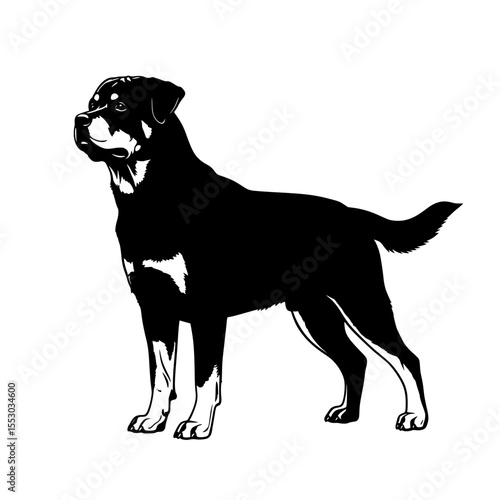 Elegant rottweiler dog standing proudly in a detailed black silhouette against a clean white background isolated on transparent background