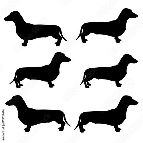 Collection of six black silhouette dachshund dogs in profile view standing on a transparent background isolated silhouette isolated on transparent background