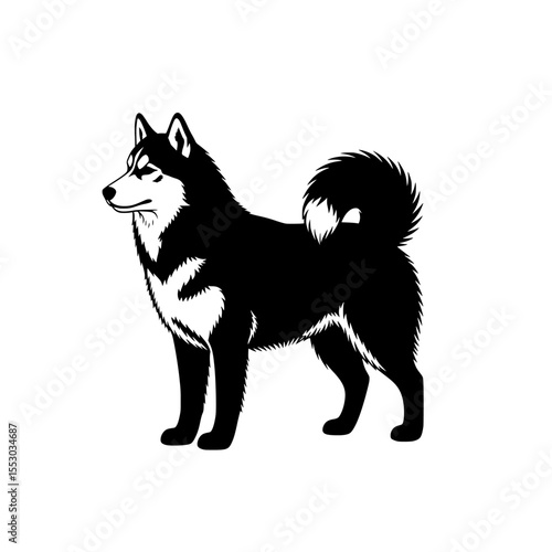 Majestic alaskan malamute dog standing profile view in a striking black and white silhouette isolated on transparent background