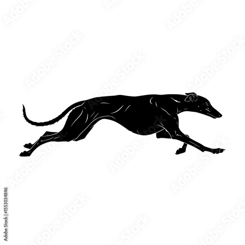 Elegant black silhouette of a greyhound dog in full stride showcasing its lean physique and graceful movement isolated on transparent background silhouette