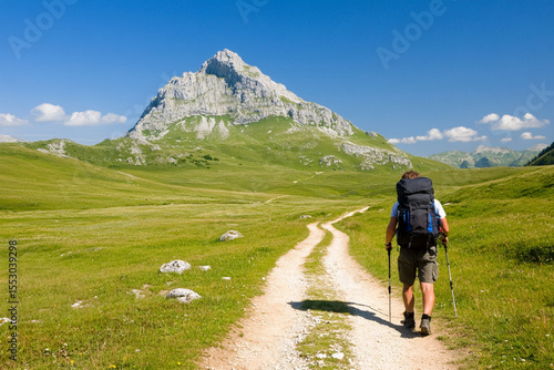 Backpacker hiking the scenic trail in a lush mountain landscape