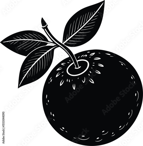Silhouette of a Blueberry