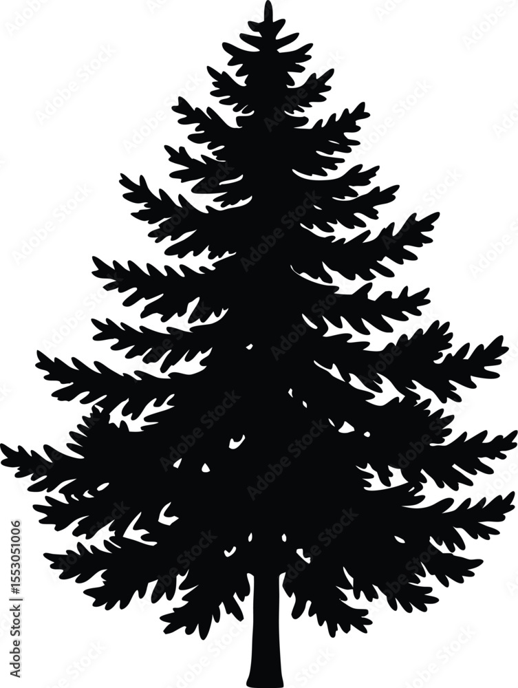 Fototapeta premium Silhouette of a Pine Tree